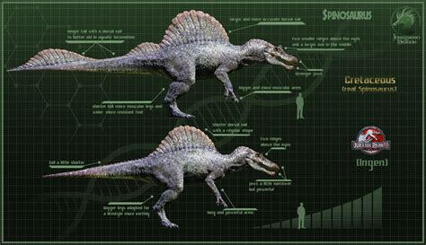 spinosaurus jp3|jp3 spinosaurus gender.